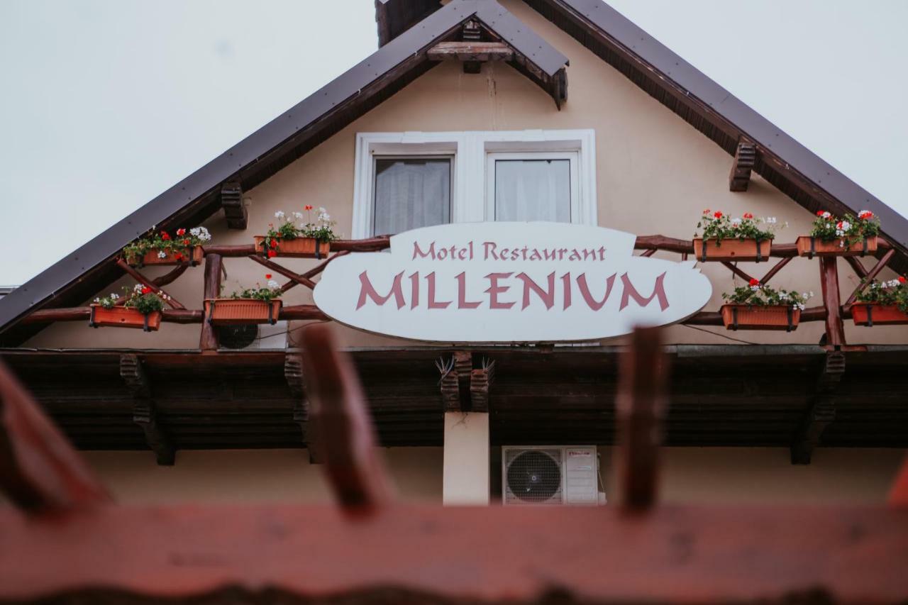 Hotel-Restaurant Milenium Nagyszalonta Kültér fotó